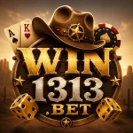 WIN1313